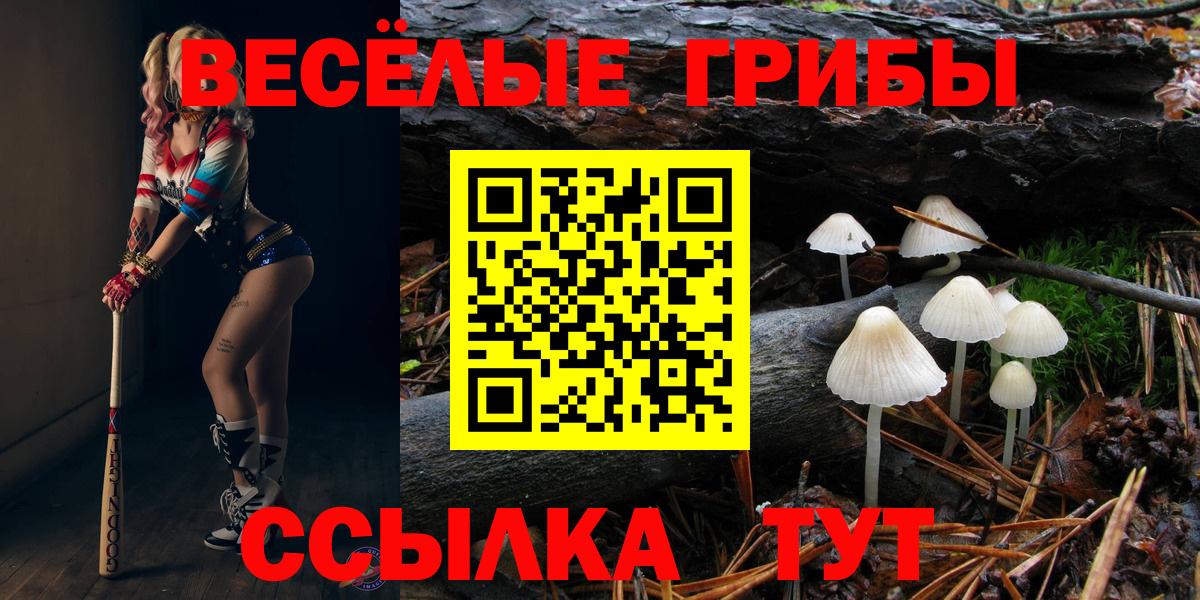 Псилоцибиновые грибы Psilocybe Таганрог