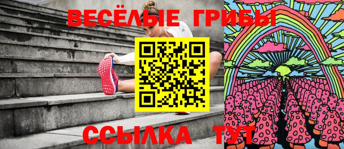 Галлюциногенные грибы Psilocybe  Галлюциногенные грибы GOLDEN TEACHER  дарнет шоп  Вход с VPN  Таганрог 